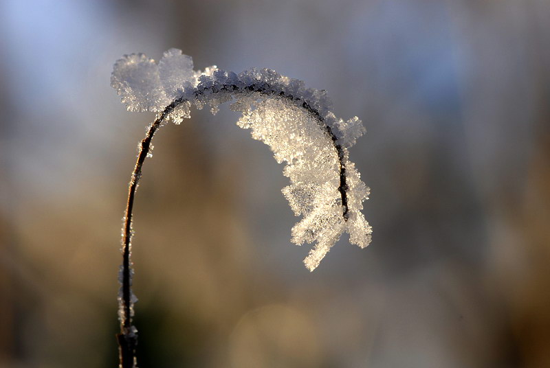 Winter _DDC9003 Kopie.jpg